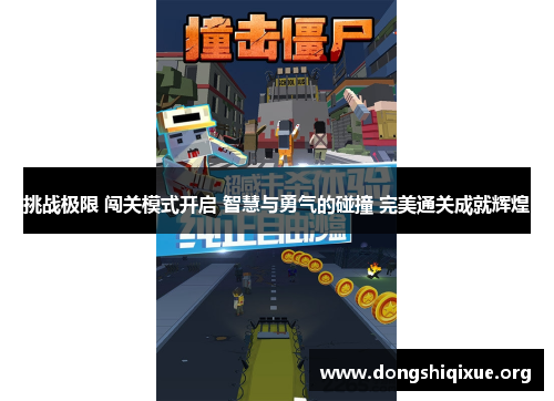 挑战极限 闯关模式开启 智慧与勇气的碰撞 完美通关成就辉煌
