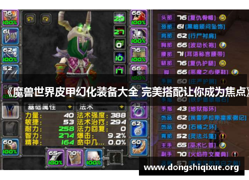 《魔兽世界皮甲幻化装备大全 完美搭配让你成为焦点》