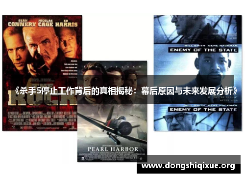 《杀手5停止工作背后的真相揭秘：幕后原因与未来发展分析》