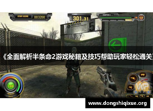 《全面解析半条命2游戏秘籍及技巧帮助玩家轻松通关》