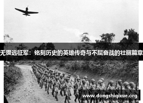无畏远征军：铭刻历史的英雄传奇与不屈奋战的壮丽篇章