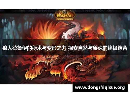 狼人德鲁伊的秘术与变形之力 探索自然与兽魂的终极结合