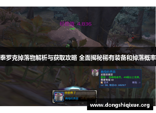 泰罗克掉落物解析与获取攻略 全面揭秘稀有装备和掉落概率
