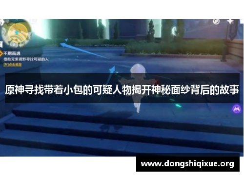 原神寻找带着小包的可疑人物揭开神秘面纱背后的故事