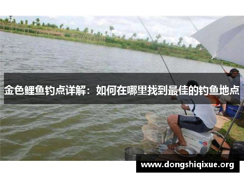 金色鲤鱼钓点详解：如何在哪里找到最佳的钓鱼地点