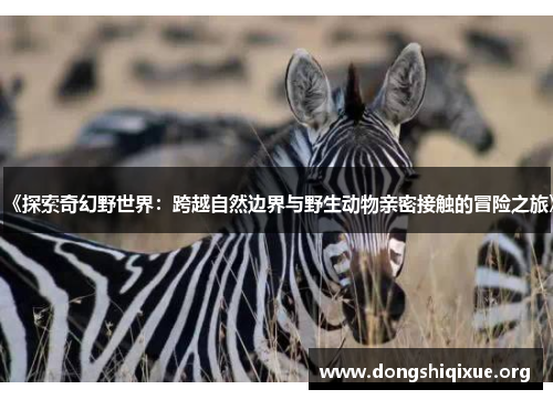 《探索奇幻野世界：跨越自然边界与野生动物亲密接触的冒险之旅》