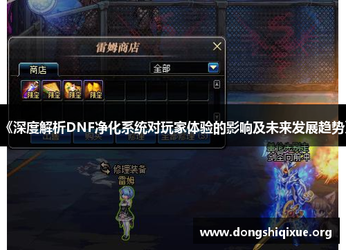 《深度解析DNF净化系统对玩家体验的影响及未来发展趋势》
