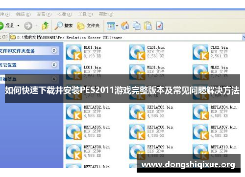 如何快速下载并安装PES2011游戏完整版本及常见问题解决方法