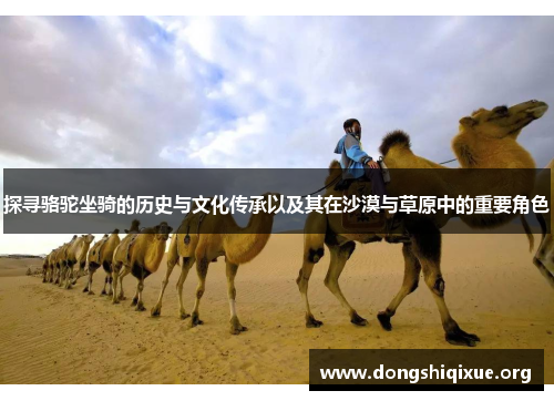 探寻骆驼坐骑的历史与文化传承以及其在沙漠与草原中的重要角色