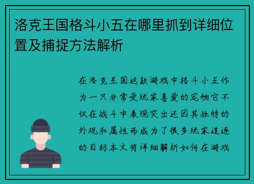 洛克王国格斗小五在哪里抓到详细位置及捕捉方法解析